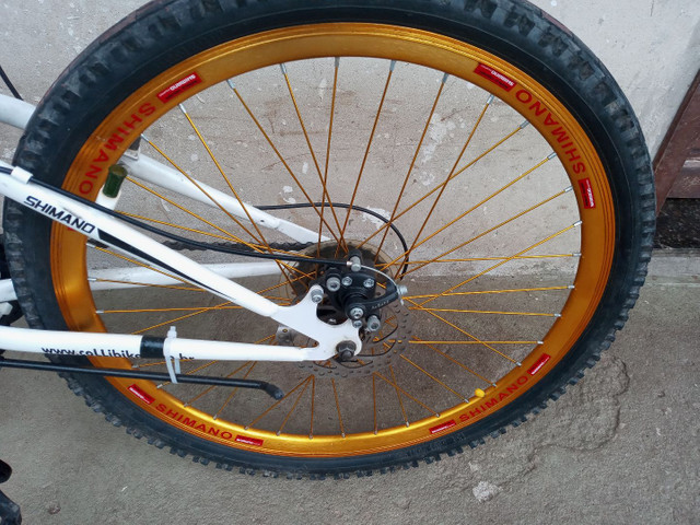Bicicleta Renault / Aro 26 / 21 Marchas - Foto 2