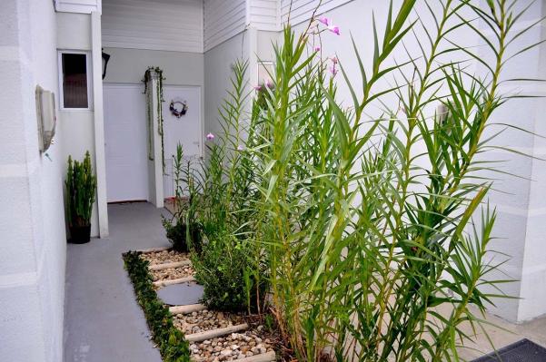 Casa para alugar com 3 dormitórios em Bela vista, Palhoça cod:71470 - Foto 3
