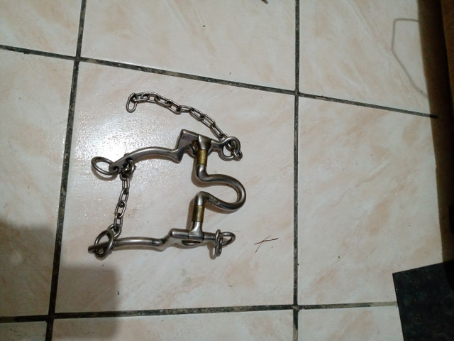 Bridia e Cabeção - Foto 2