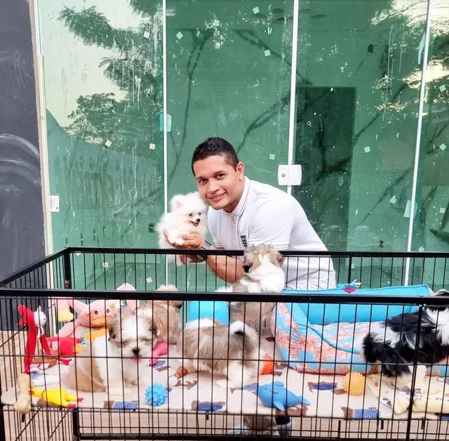 Canil Teresina trabalhamos com todas as raças venham conferir  - Foto 3