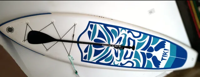 Snario Prancha de stand up paddle inflável antiderrapante SUP para todos os  níveis de habilidade Prancha de surf com bomba de ar bolsa de transporte  trela barco em pé para jovens e