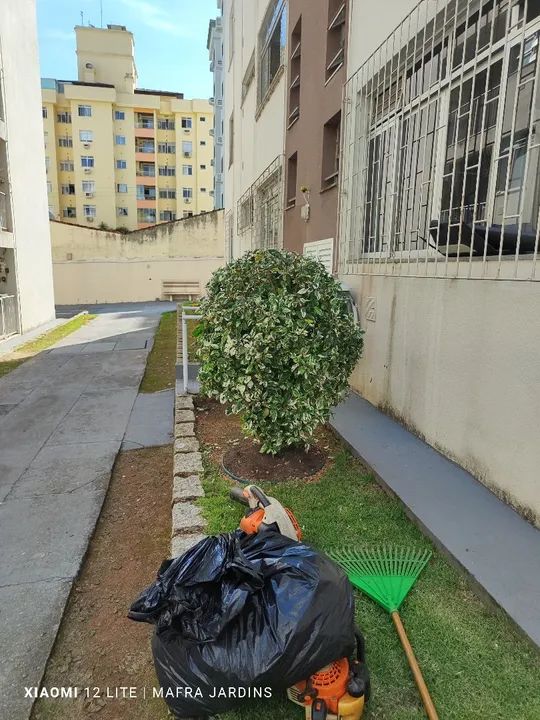 Jardinagem e paisagismo faça seu orçamento sem compromisso  - Foto 2