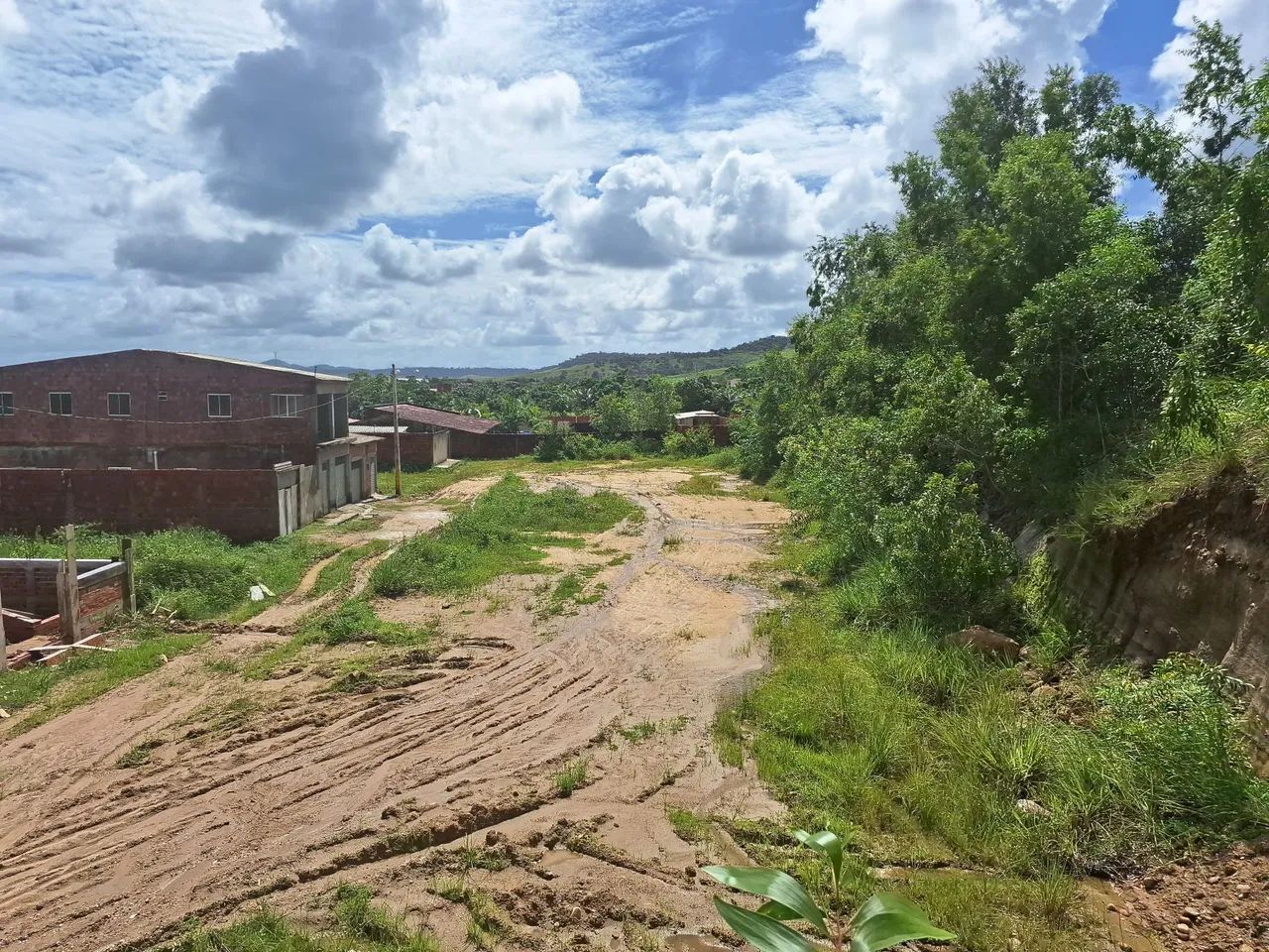 Terreno em Matriz de Camaragibe  - Foto 4