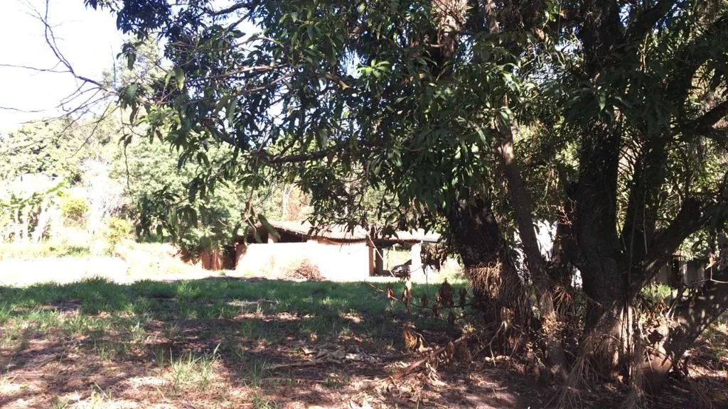 Chácara com 5 dormitórios à venda, 8200 m² por R$ 2.200.000,00 - Paraíso - Santa Bárbara D - Foto 3
