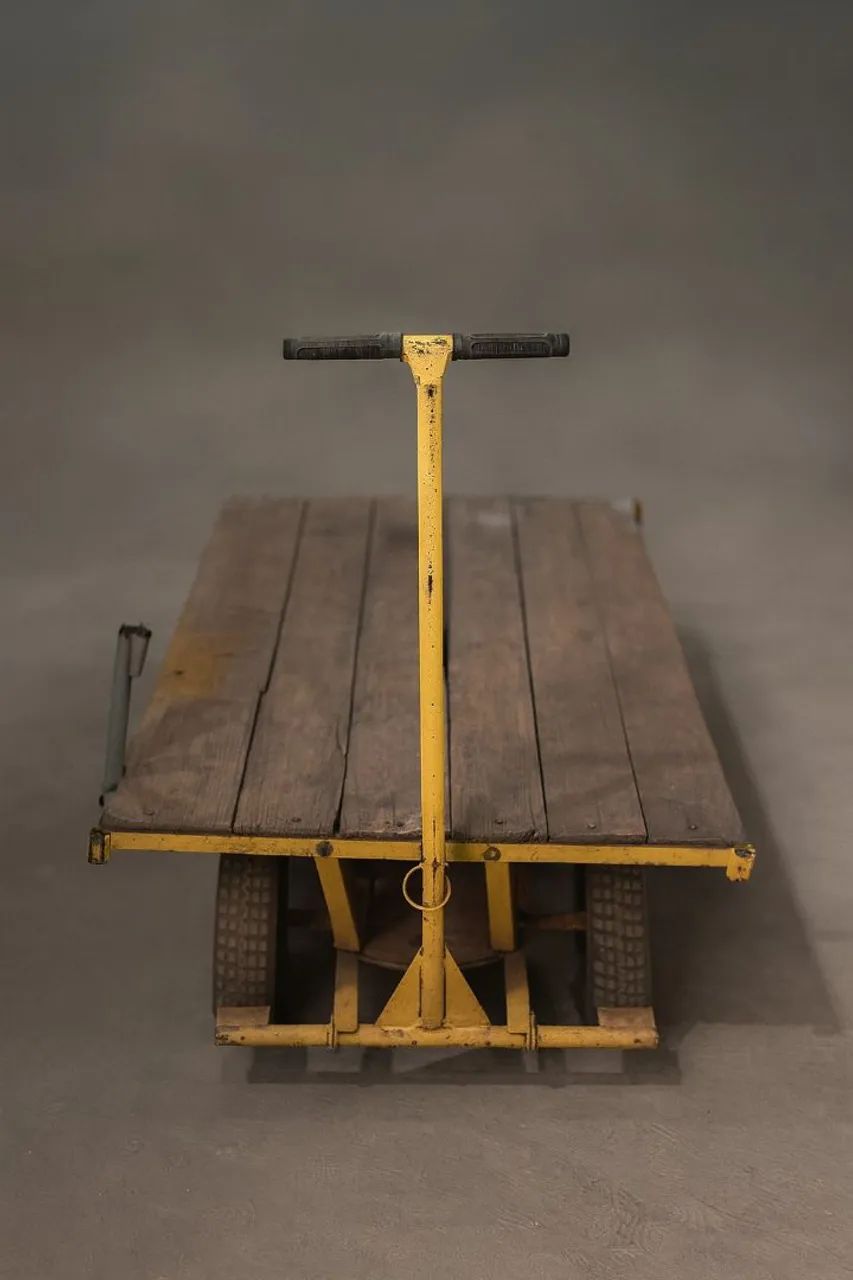 Carrinho Plataforma Reforçada 