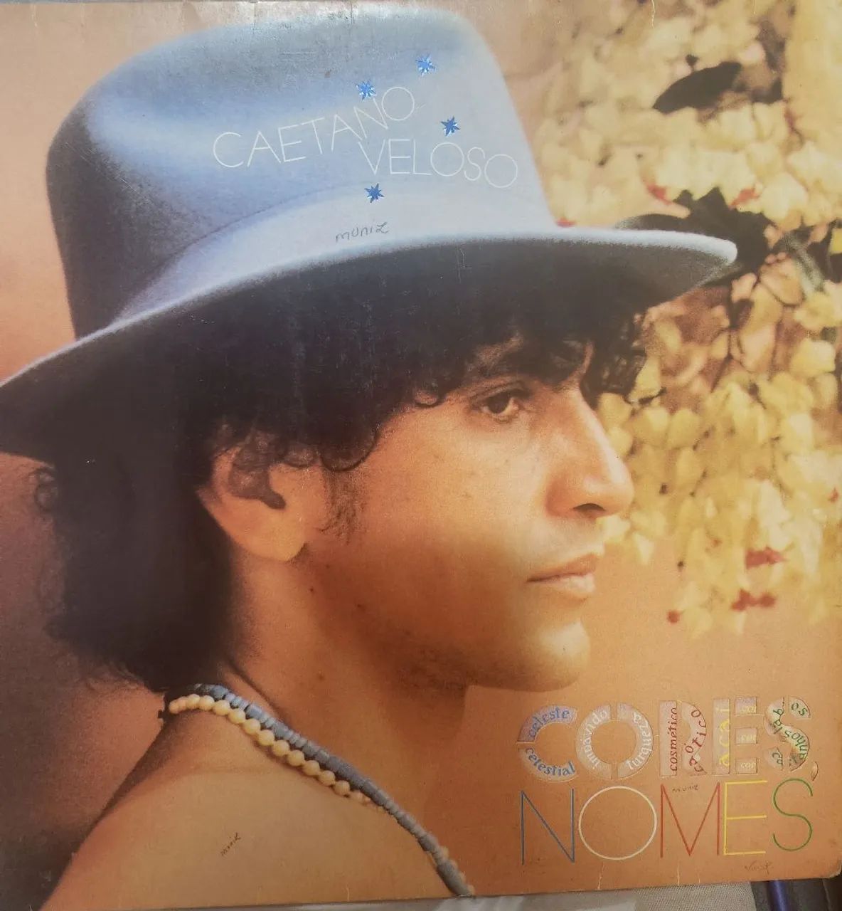Coleção Vinil Caetano Veloso 5 discos  - Foto 5