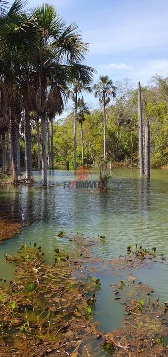 CHÁCARA NO MUNICÍPIO DE BELA VISTA  GO - Foto 4
