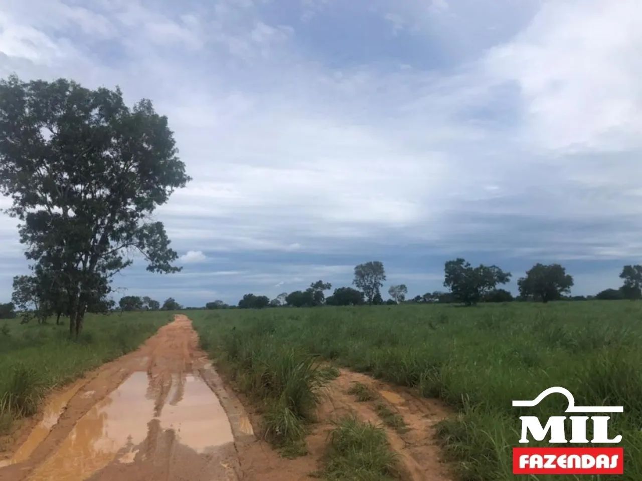 Fazenda em Talismã-TO 82 Alq. (397 Há). Boa p/ Soja - Foto 4