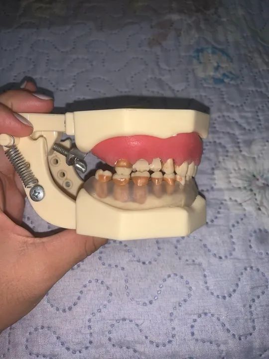 Vende-se manequim odontológico  - Foto 2