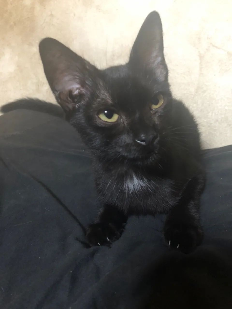 Doação responsável 