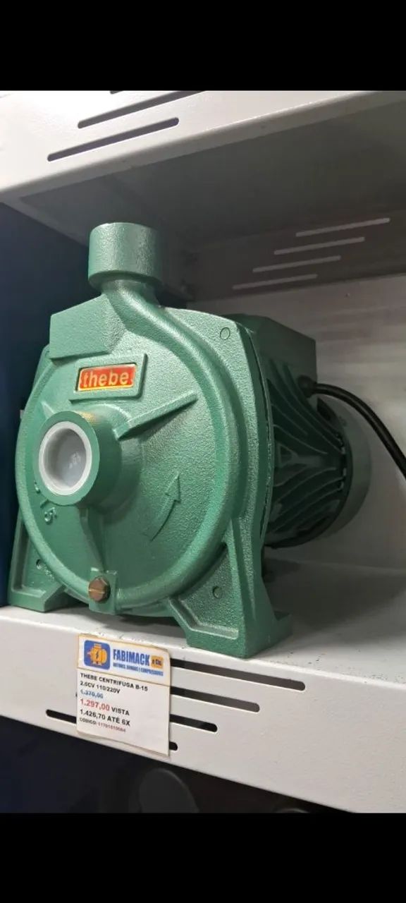 BOMBA CENTRÍFUGA 2CV 127/220V B-15 THEBE - Foto 2