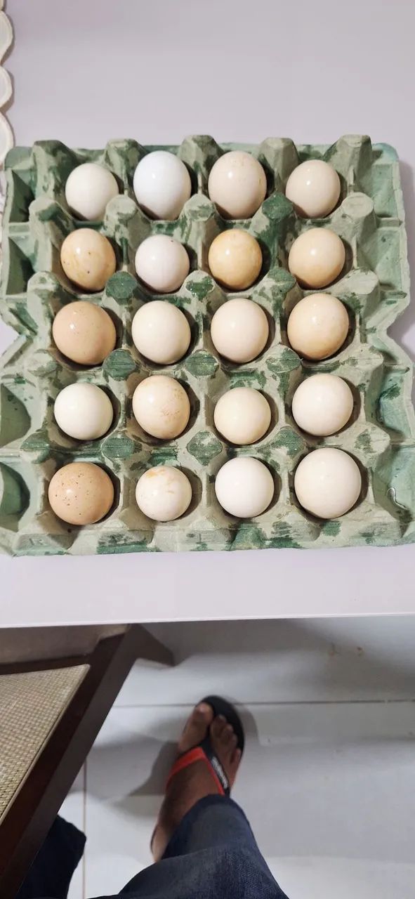 Ovos caipira 16 a dúzia 