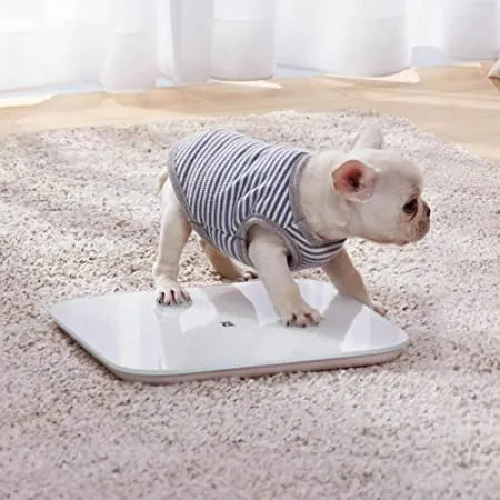Balança Xiaomi Mi Smart Scale 2 - Monitoramento Corporal Inteligente para uma Vida Saudáve