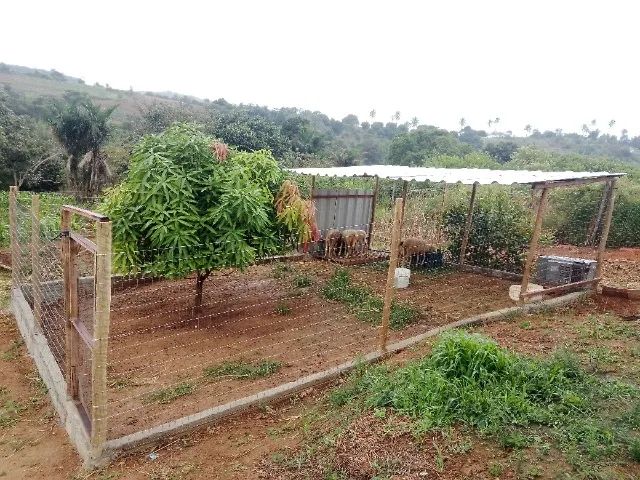 Vendo ou troco Sítio (1,6 hectares) - Foto 3