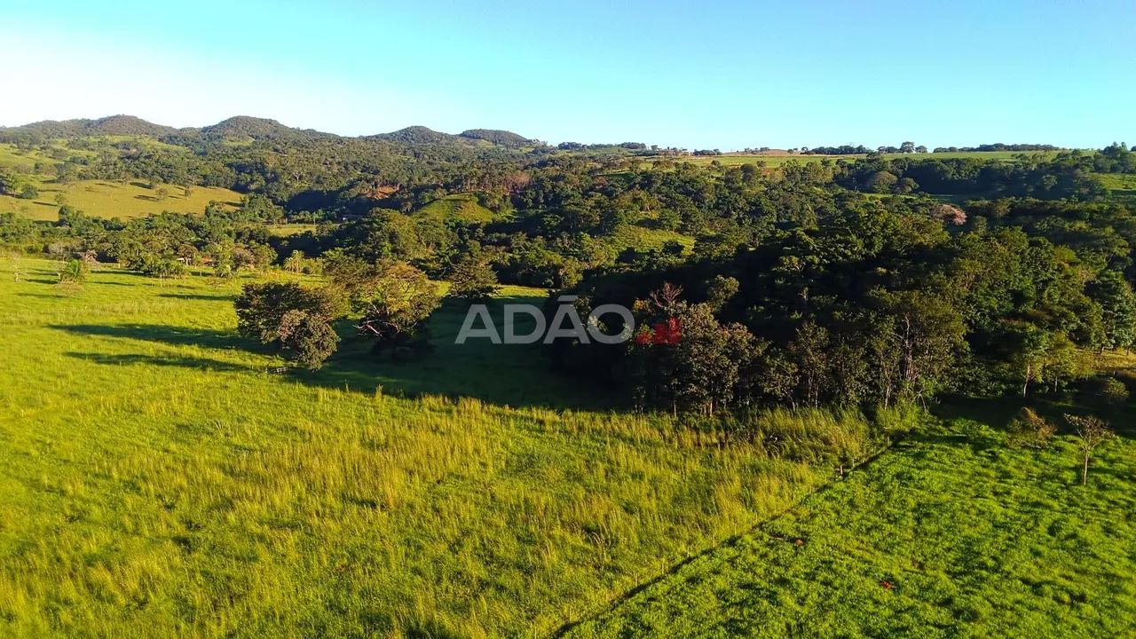 Fazenda em Bela Vista de Goiás - Foto 4