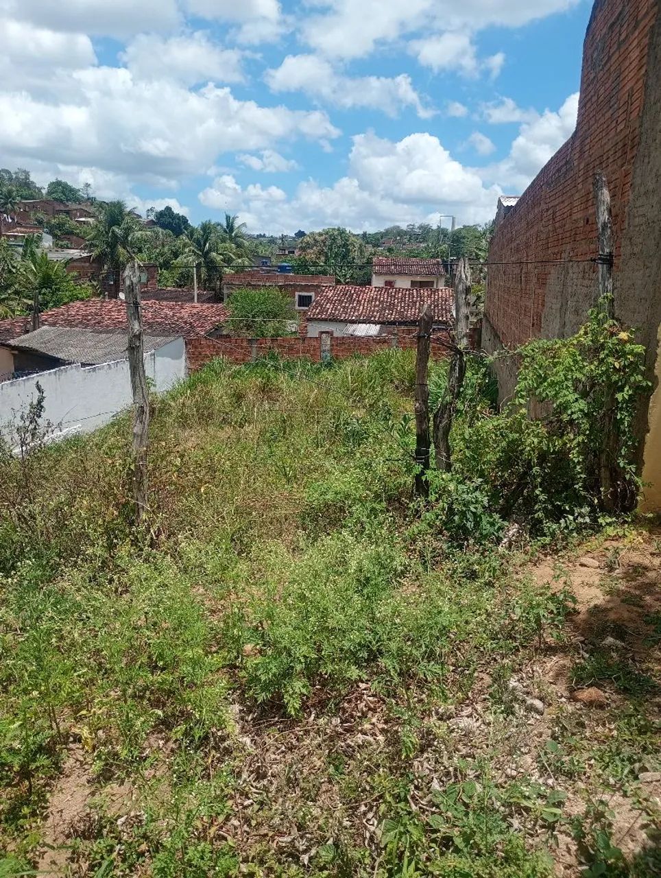 loteamento aparecida (carpina,) - Foto 2