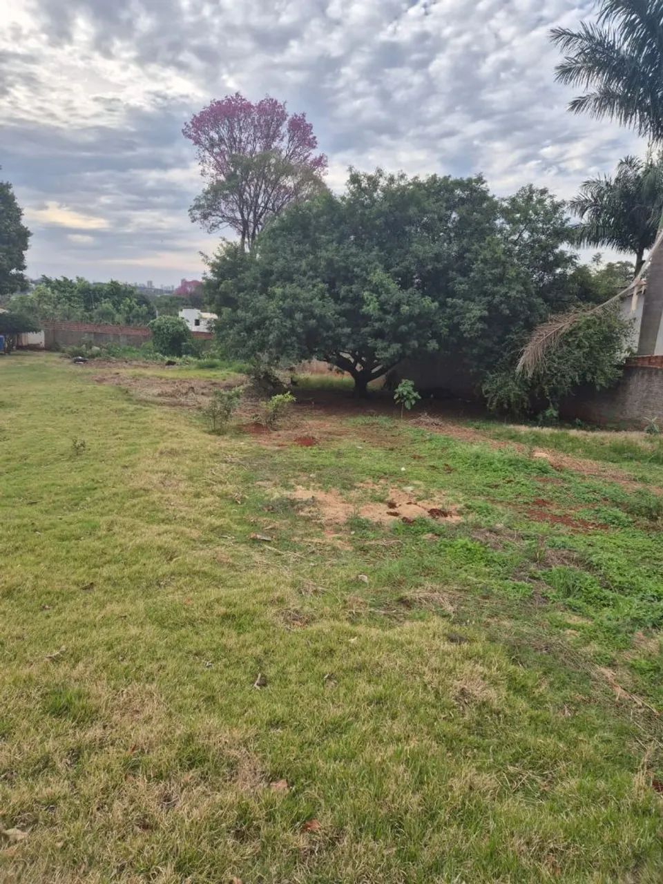 Vendo Chácara/terreno Vale Azul Sarandi - Foto 3