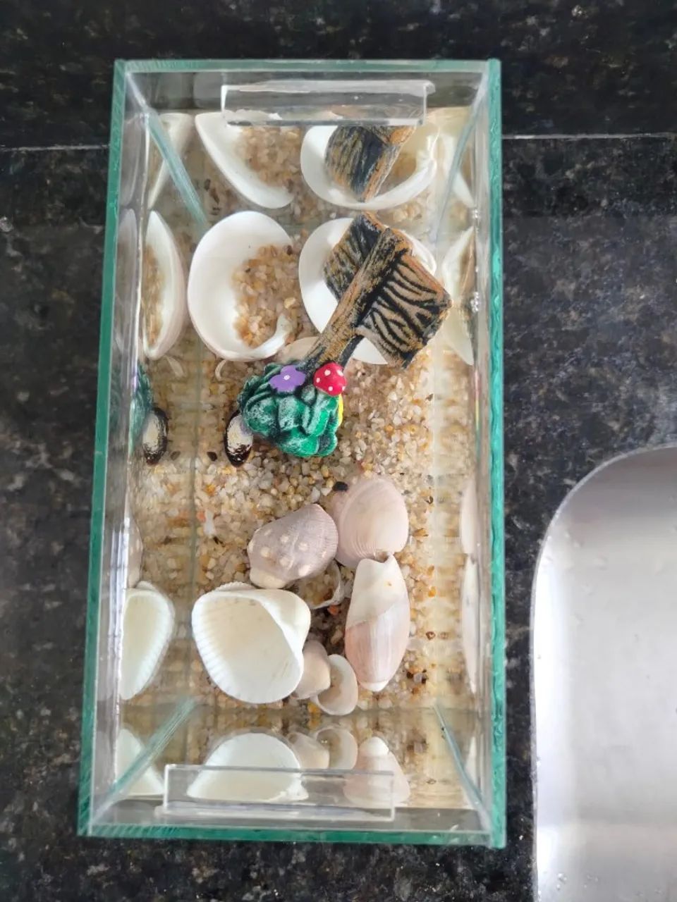 Aquario de 2 litros - Foto 3