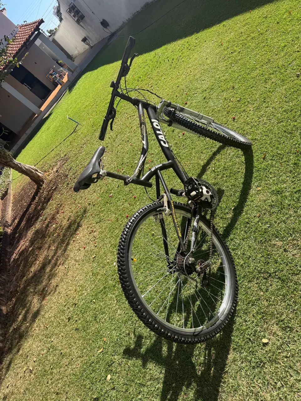 Ciclismo - Foto 3