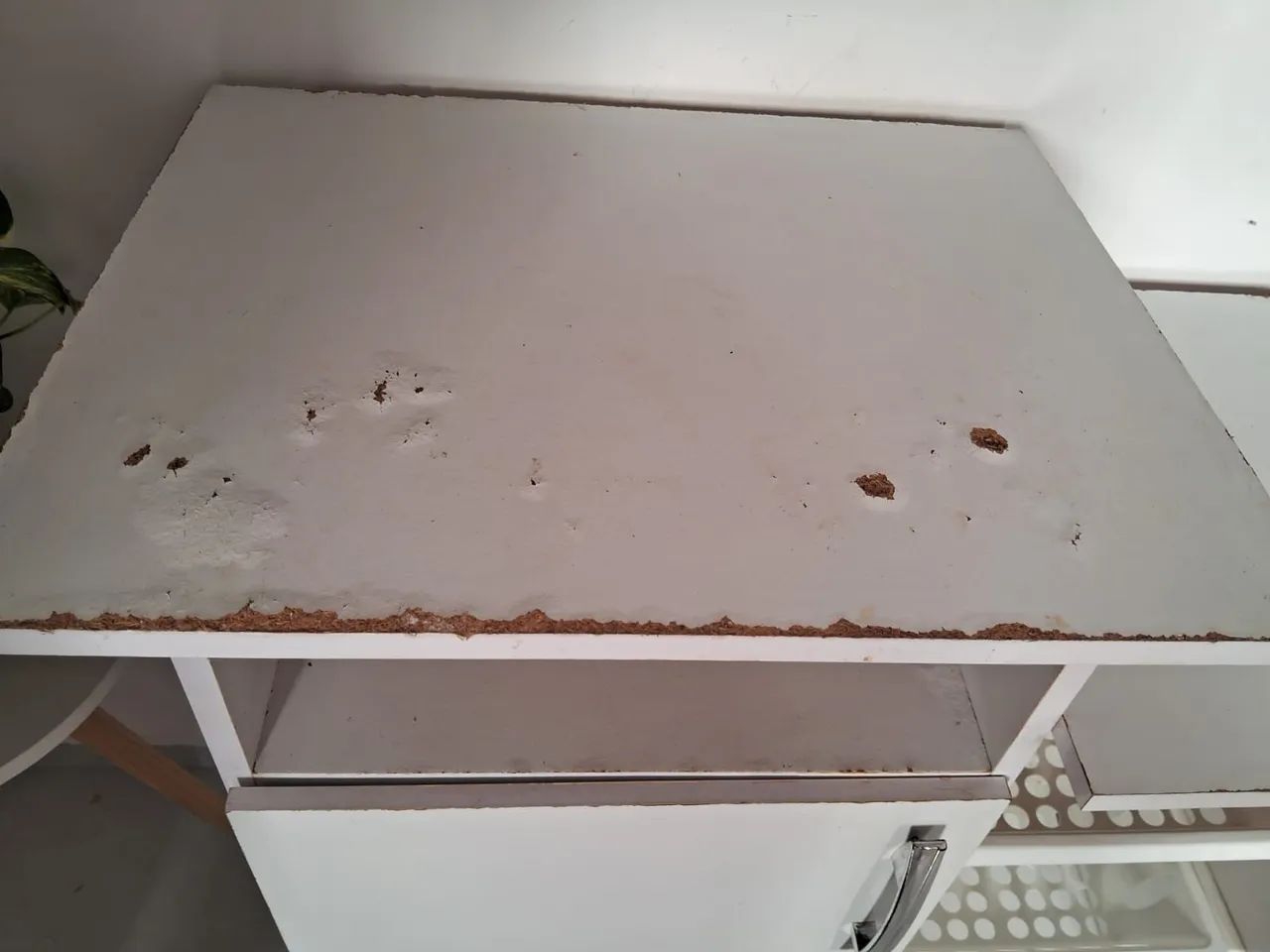 Armário fruteira  - Foto 4