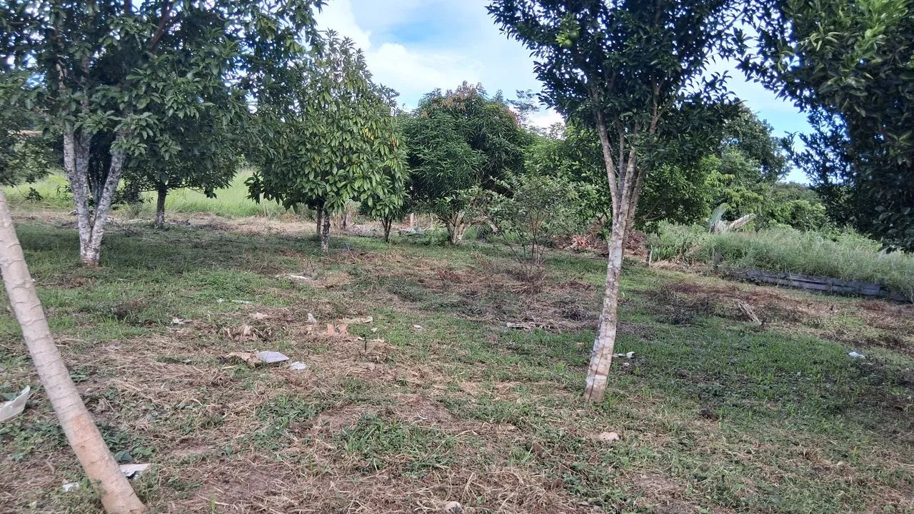 Não tem  - Foto 5