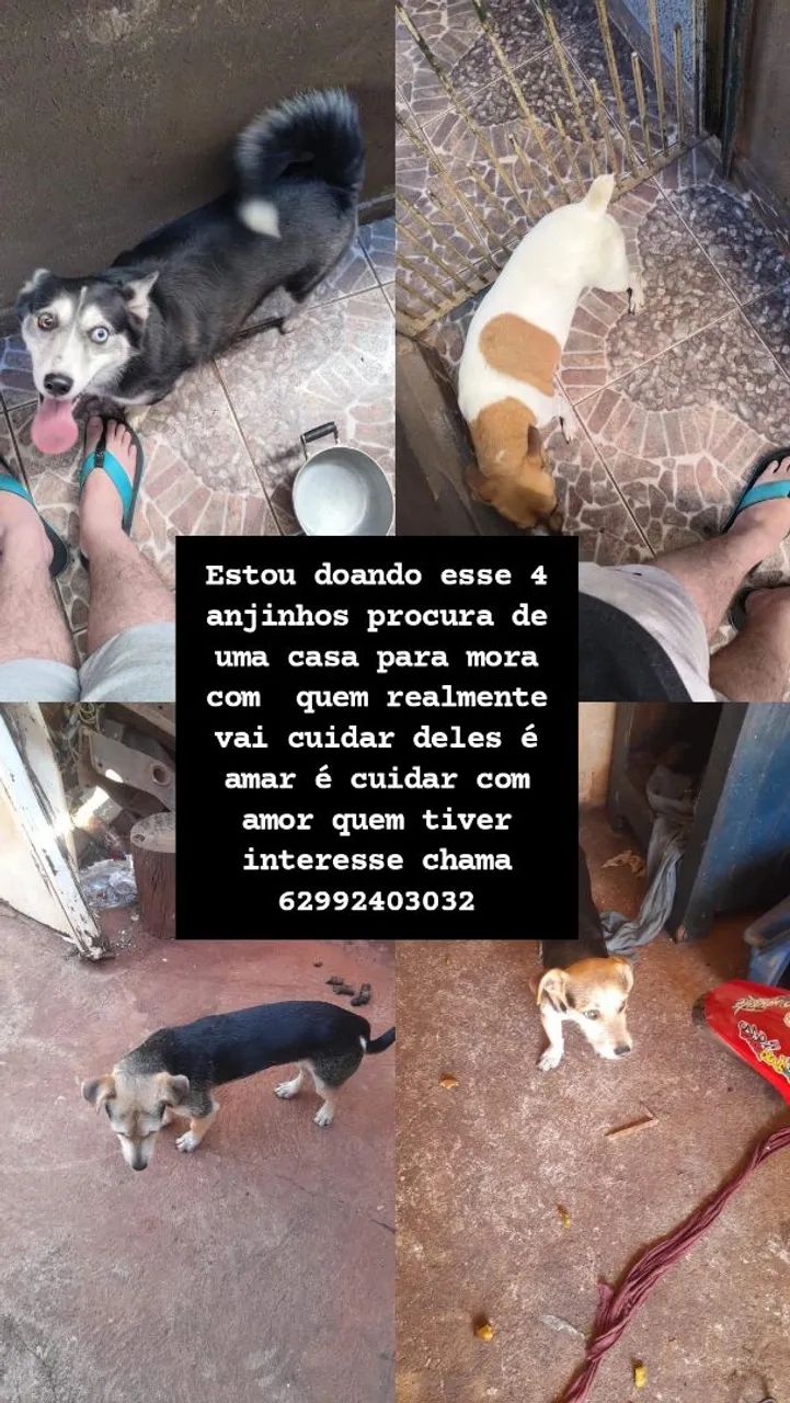 Doação 