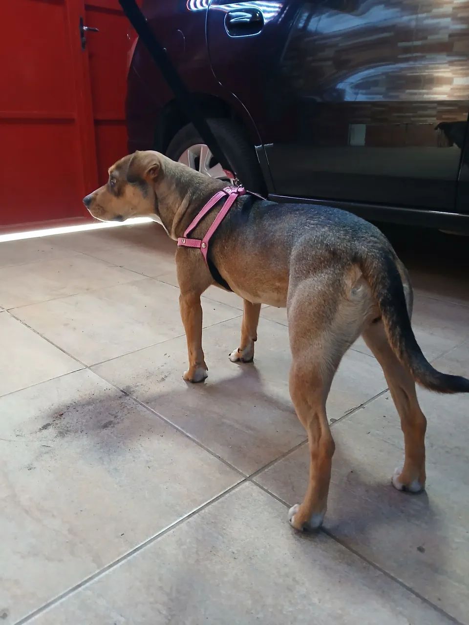 Doação  - Foto 2