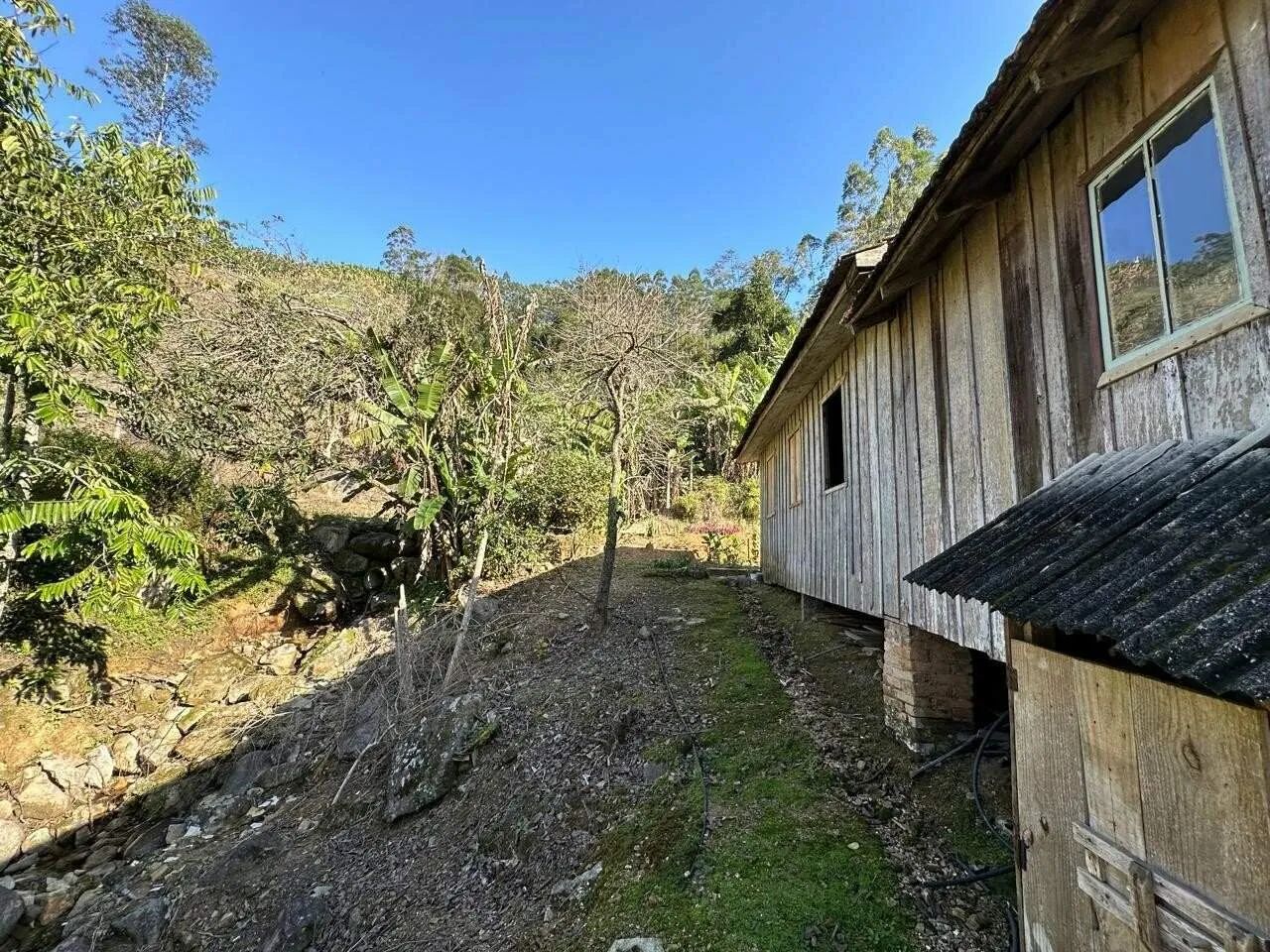 Sítio à Venda, Bairro Vila 12 em Antônio Carlos/SC - Foto 3