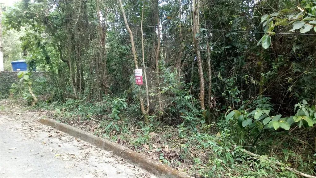 Terreno à venda em Santa inês - SP - Foto 2