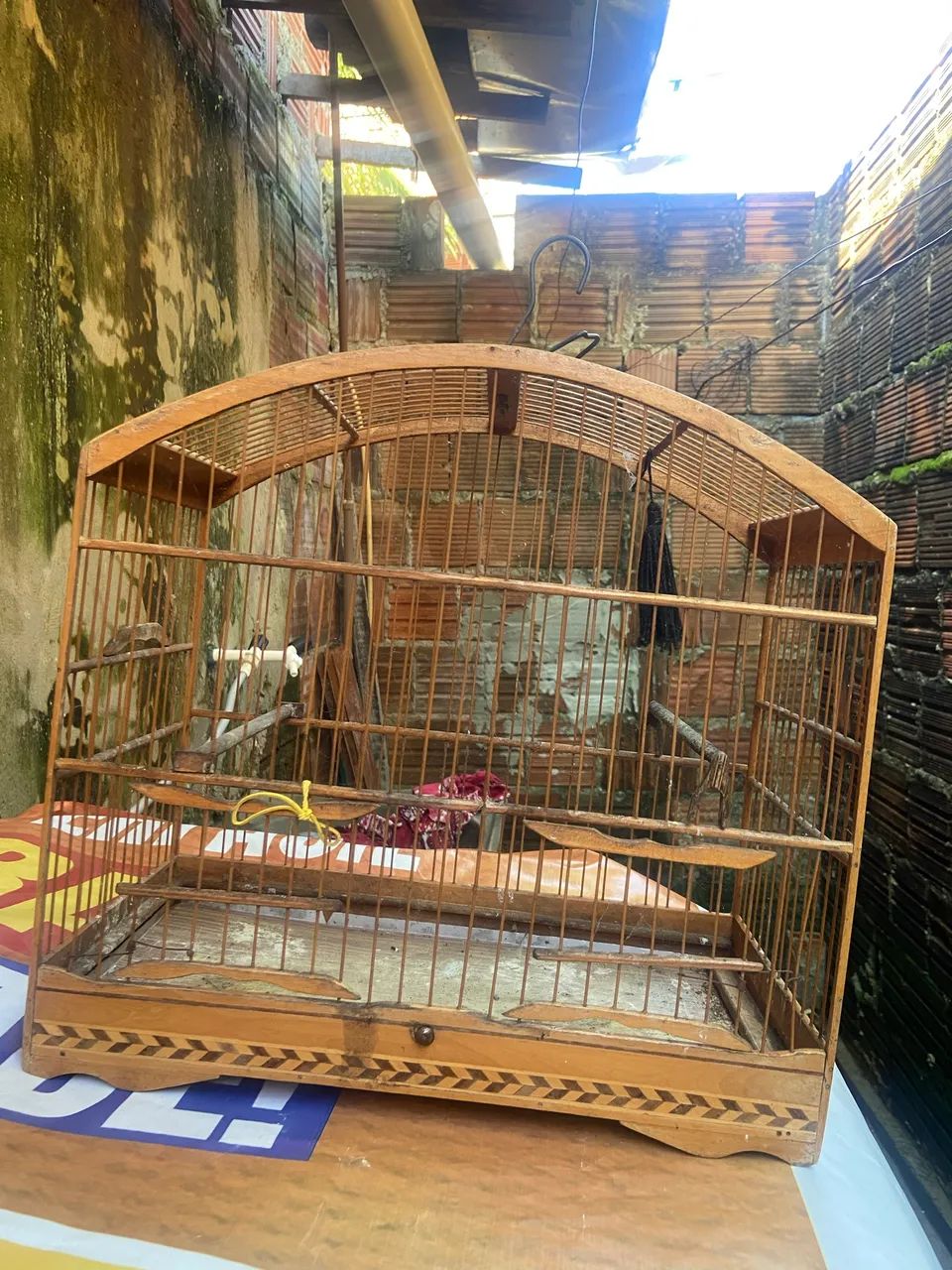 Gaiola campineira 