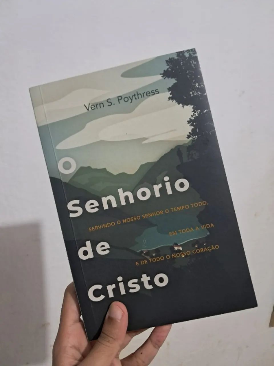 BOX 2 - TEOLOGIA REFORMADA / ESTUDO BÍBLICO - Foto 3