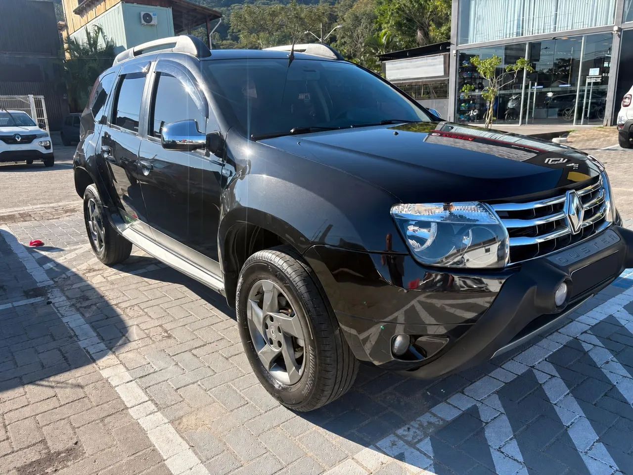 Renault Duster Dynamique 1.6 Hi-flex 16V Mec. 2013