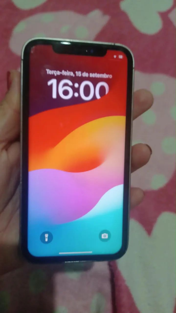 iPhone Xr na carcaça do 14 Pro