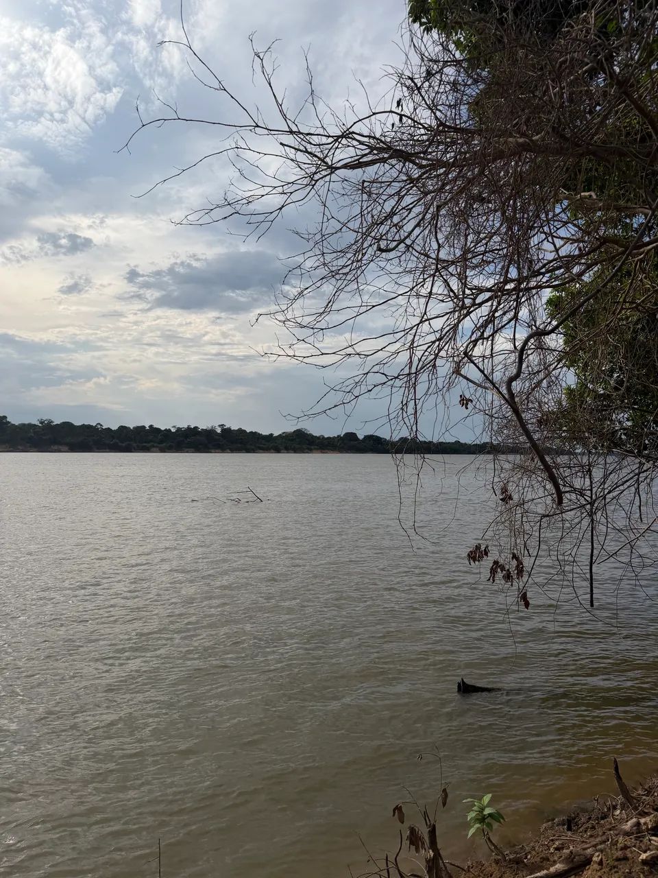 Sitio no Cantá de fundo pro Rio Branco - Foto 2