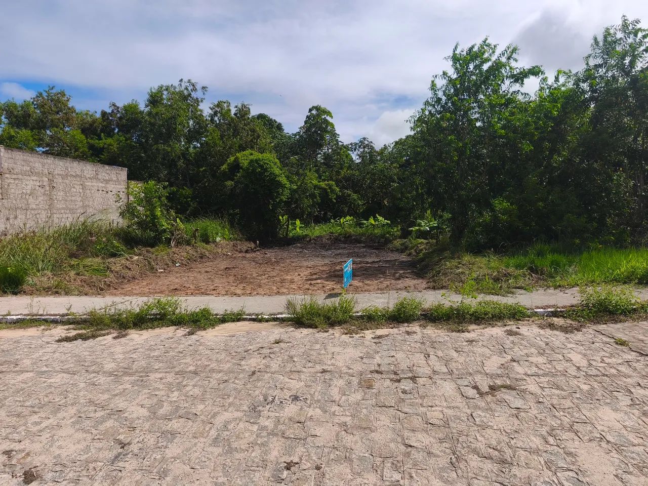 Terreno  - Foto 5