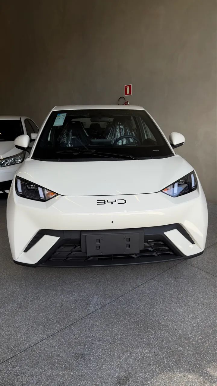 BYD Dolphin Mini (Elétrico) 2027