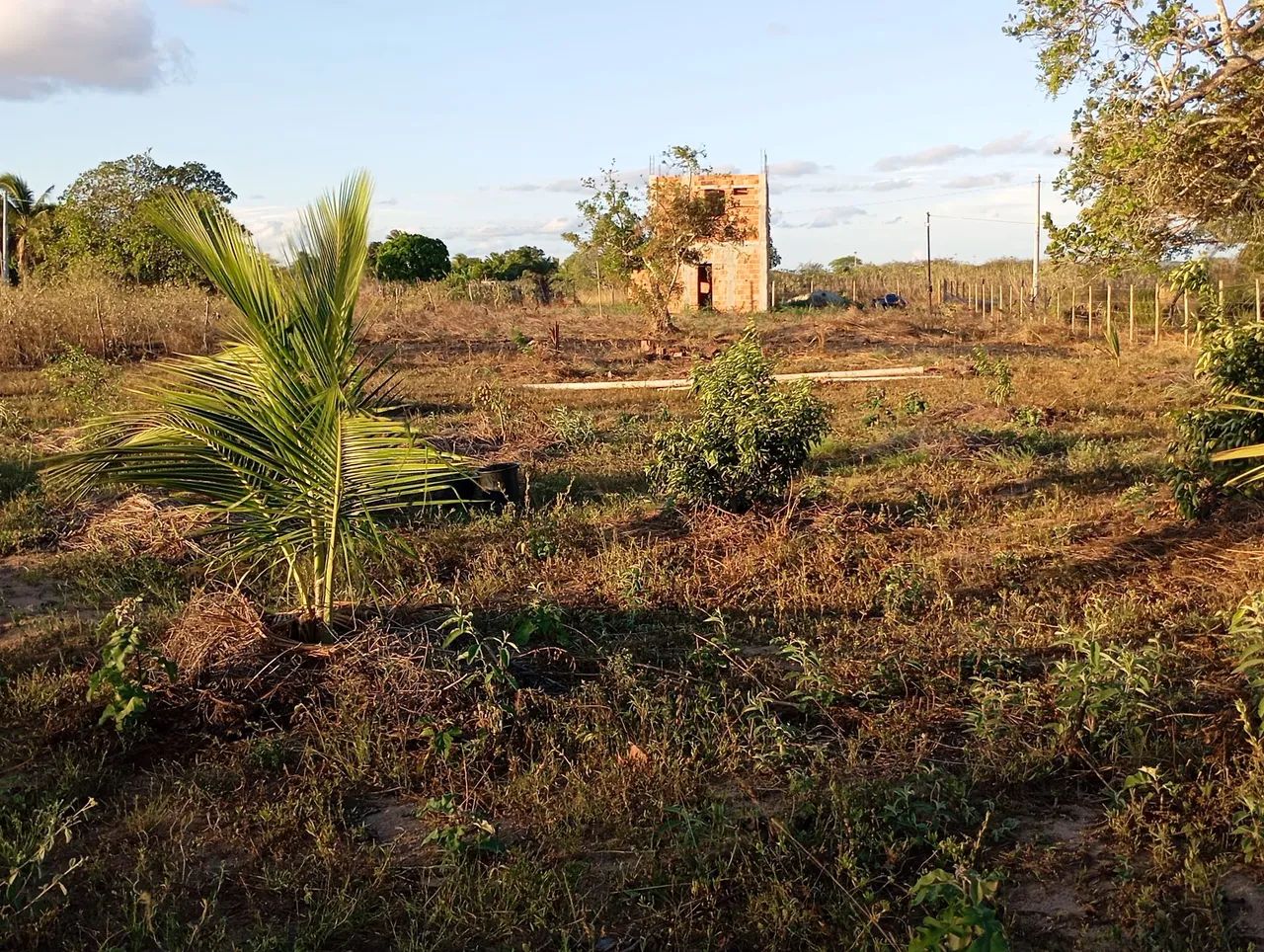 Terreno  - Foto 4