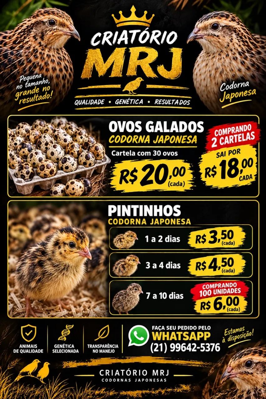 Codornas 