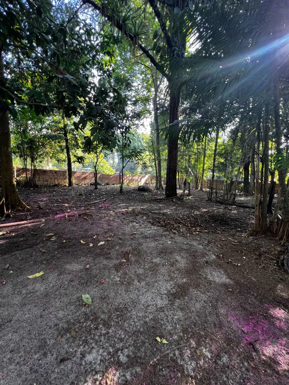 Terreno em mosqueiro 