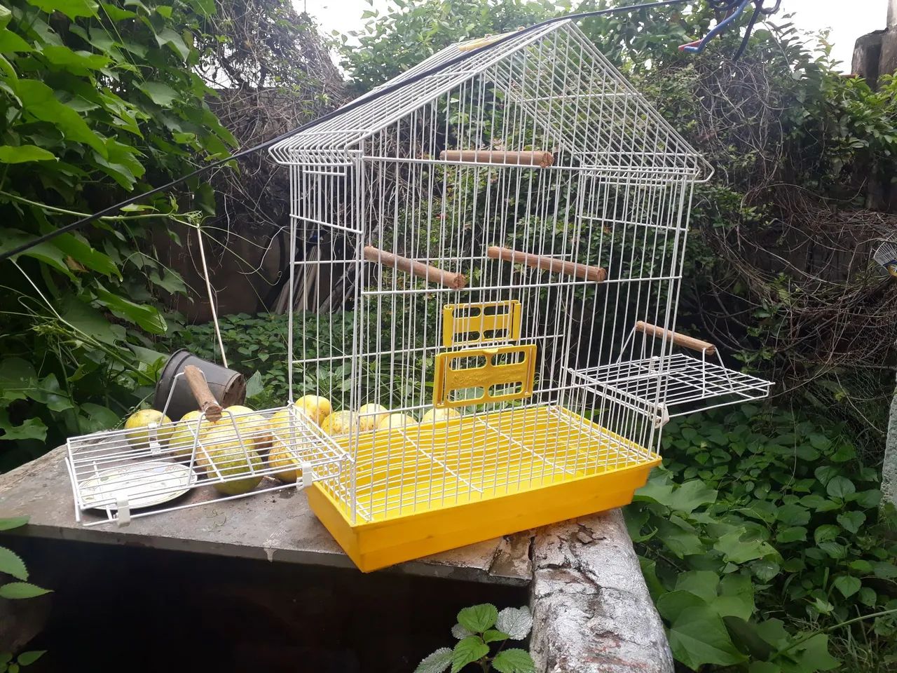 Vendo excelente gaiola de calopsita mansa. Marca Bragança.  Barata - Foto 6