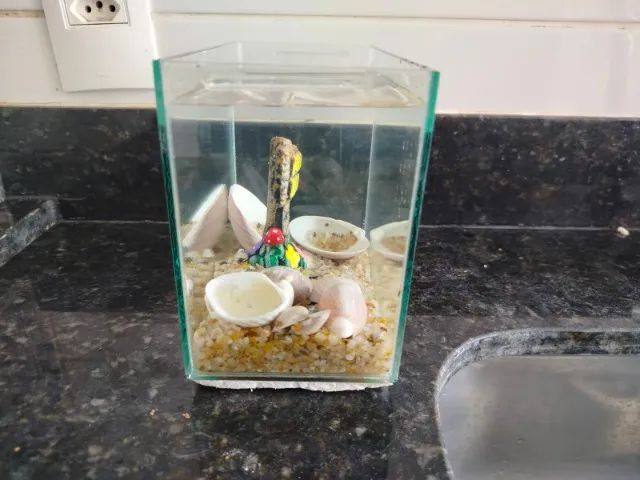 Aquario de 2 litros - Foto 5