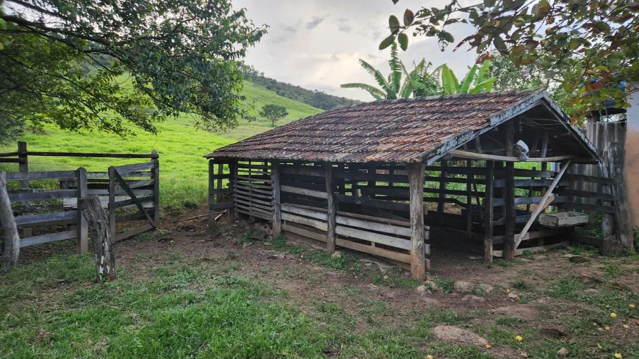Vendo sitio 6,3 hectares em Soledade de Minas  - Foto 5