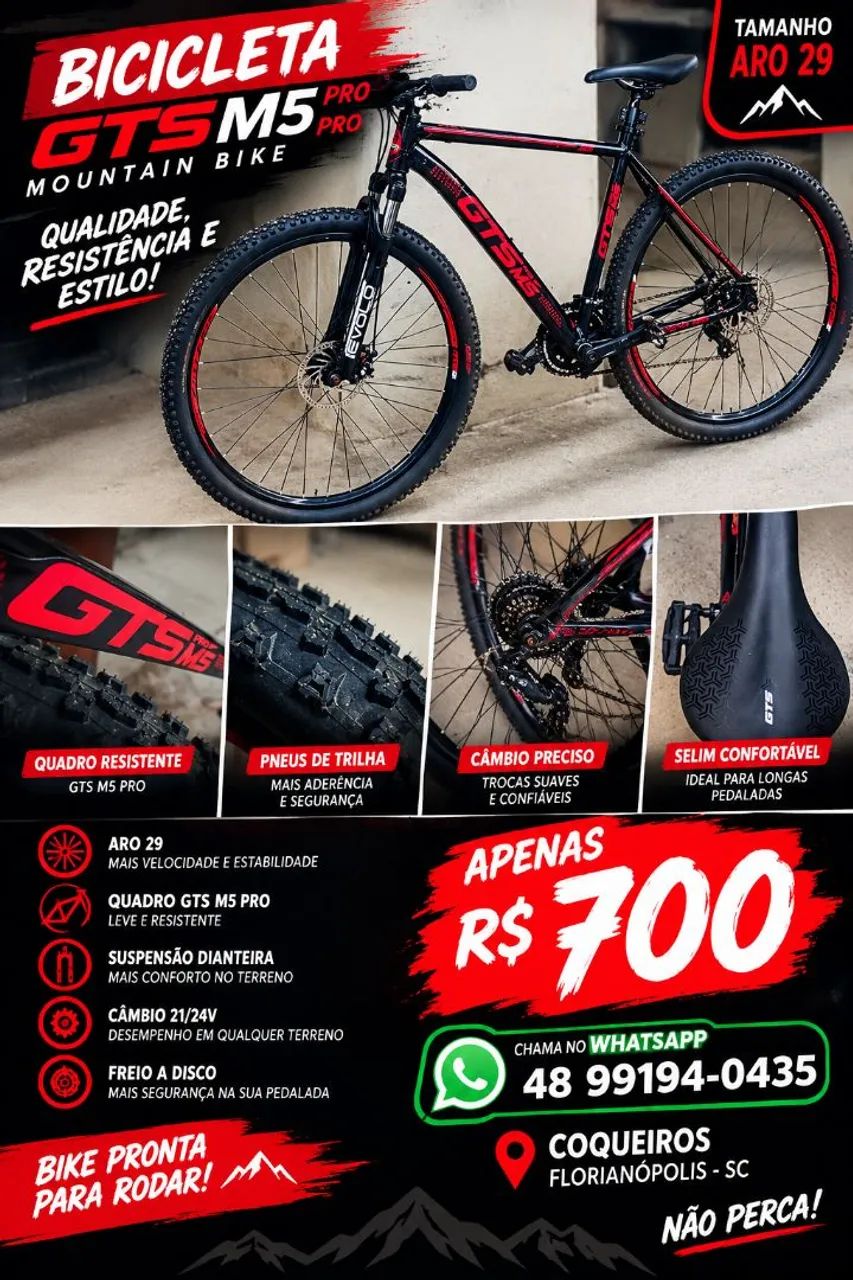 Bike gts R29 Xl