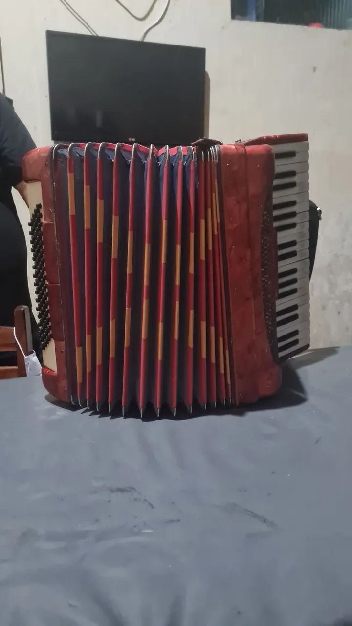 Sanfona - Foto 5