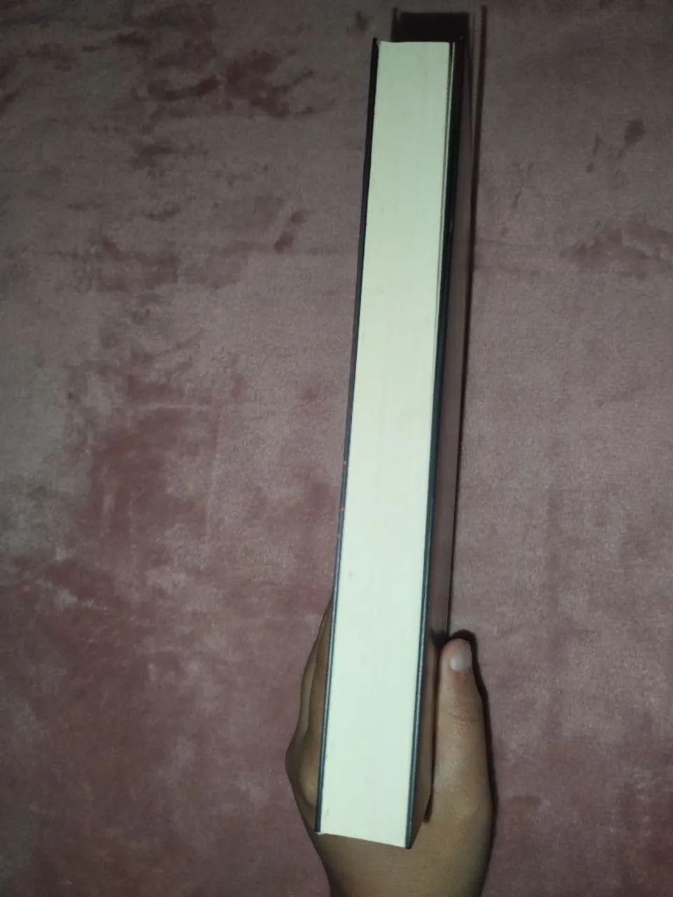 O REGICIDA - Foto 3