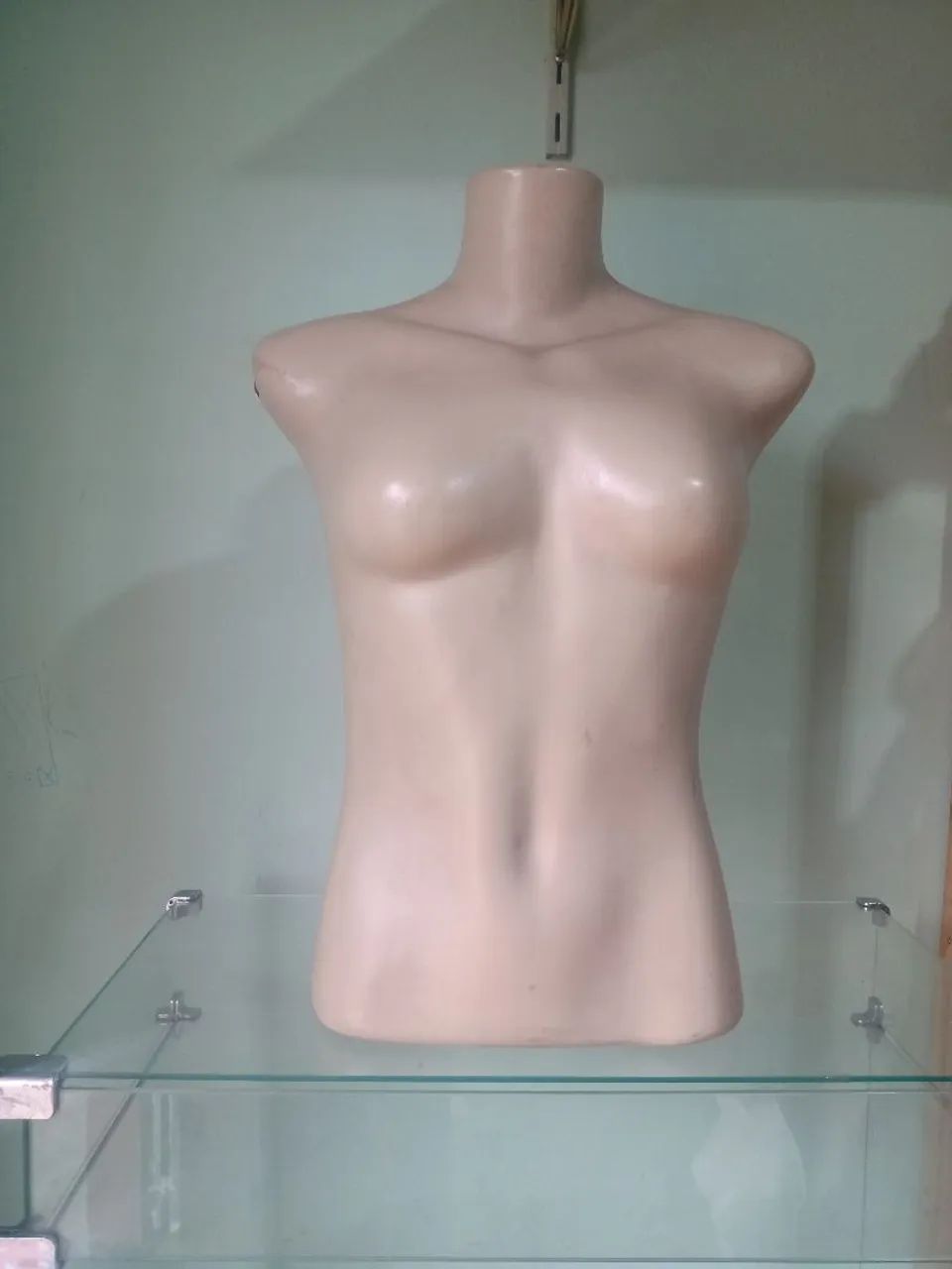 Busto Manequim Expositor
