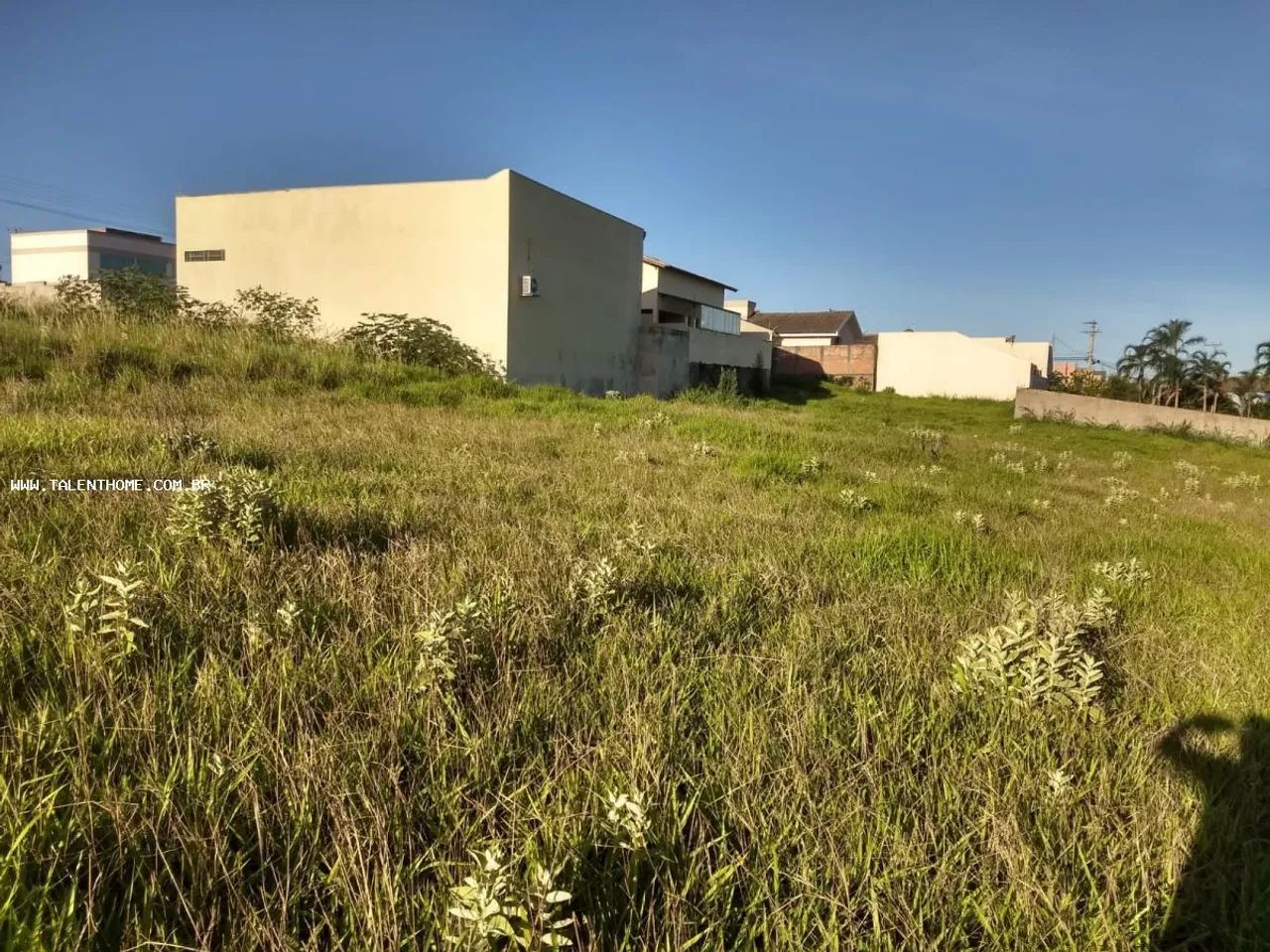 Terreno para Venda em Jacarezinho - Foto 2
