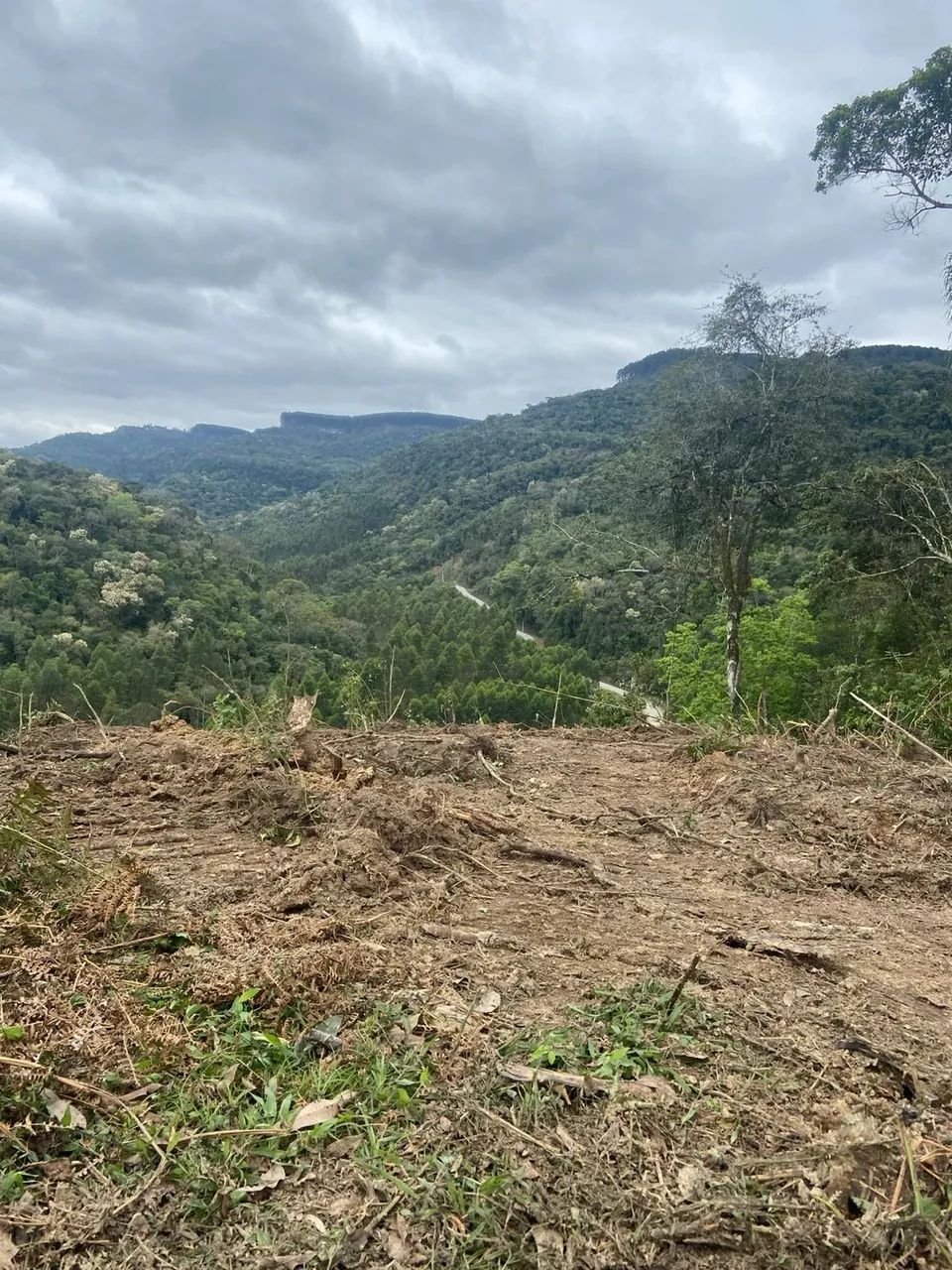 Terreno em Rancho Queimado - Foto 5