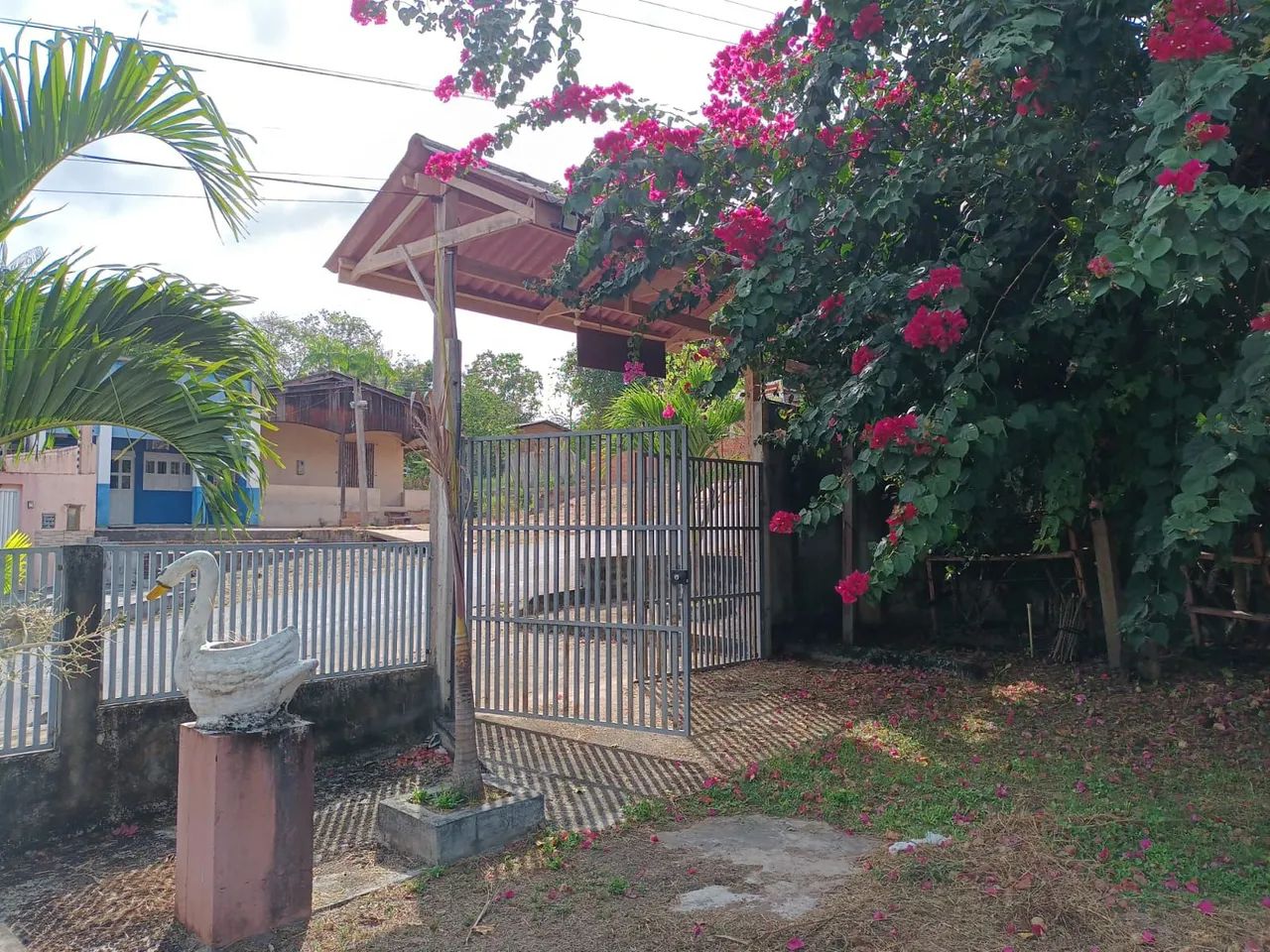 Vendo terreno no município de Ferreira Gomes  - Foto 4