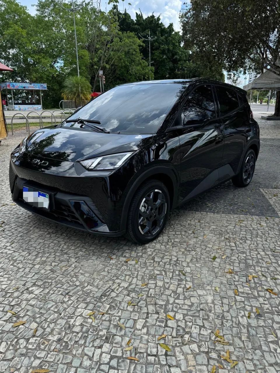BYD Dolphin Mini (Elétrico) 2026 - Foto 2